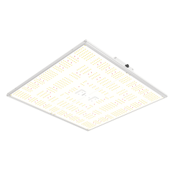 OrtoLED Quantum Board 320W