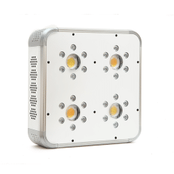Alternative view of OrtoLED Titanium 240W