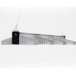 SANlight EVO 4-100 265W - LED per 100x100